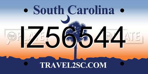 IZ56544 South Carolina License Plate