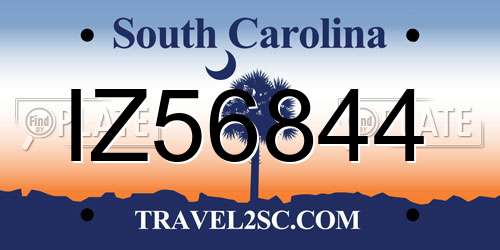IZ56844 South Carolina License Plate