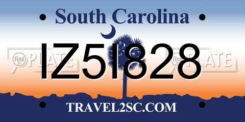 IZ5I828 South Carolina License Plate