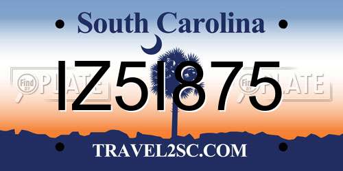 IZ5I875 South Carolina License Plate