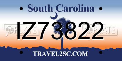 IZ73822 South Carolina License Plate