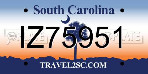 IZ75951 South Carolina License Plate
