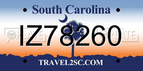 IZ78260 South Carolina License Plate