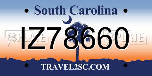 IZ78660 South Carolina License Plate