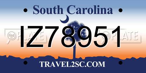 IZ78951 South Carolina License Plate