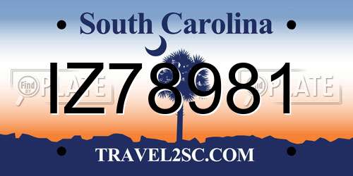 IZ78981 South Carolina License Plate