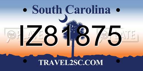 IZ81875 South Carolina License Plate