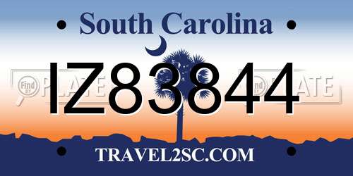 IZ83844 South Carolina License Plate