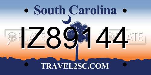 IZ89144 South Carolina License Plate