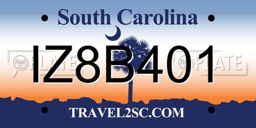 IZ8B401 South Carolina License Plate