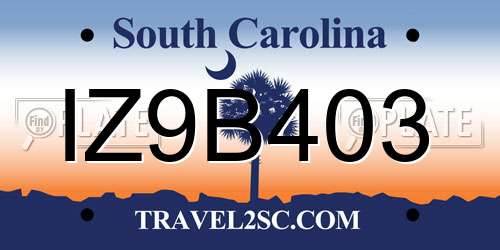 IZ9B403 South Carolina License Plate