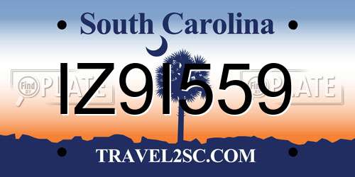 IZ9I559 South Carolina License Plate