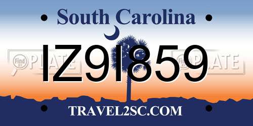 IZ9I859 South Carolina License Plate