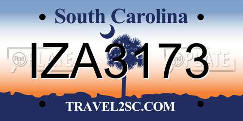 IZA3173 South Carolina License Plate