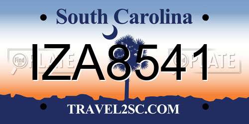 IZA8541 South Carolina License Plate