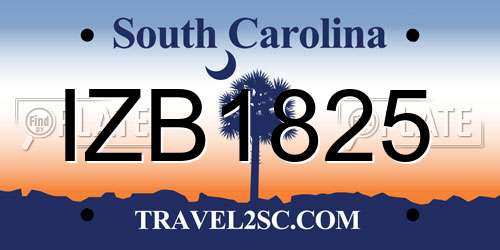IZB1825 South Carolina License Plate