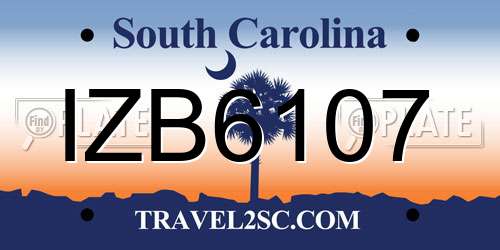 IZB6107 South Carolina License Plate