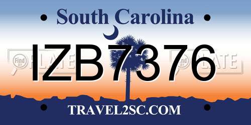 IZB7376 South Carolina License Plate