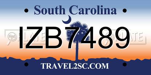 IZB7489 South Carolina License Plate