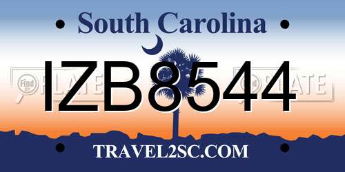 IZB8544 South Carolina License Plate