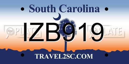 IZB919 South Carolina License Plate