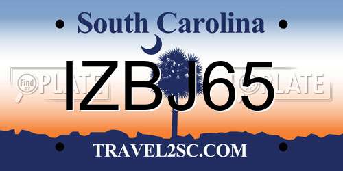 IZBJ65 South Carolina License Plate