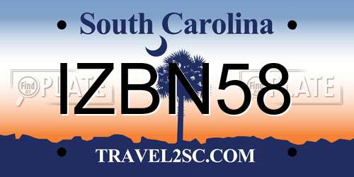 IZBN58 South Carolina License Plate