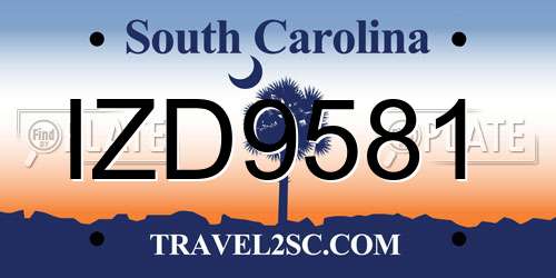 IZD9581 South Carolina License Plate