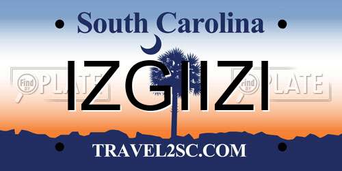 IZGIIZI South Carolina License Plate