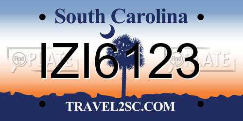 IZI6123 South Carolina License Plate