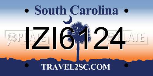 IZI6124 South Carolina License Plate