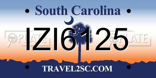 IZI6125 South Carolina License Plate