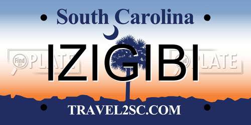 IZIGIBI South Carolina License Plate