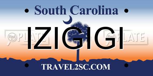 IZIGIGI South Carolina License Plate