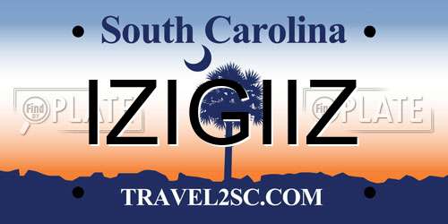 IZIGIIZ South Carolina License Plate