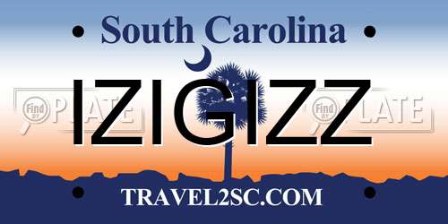 IZIGIZZ South Carolina License Plate