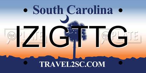 IZIGTTG South Carolina License Plate