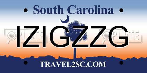 IZIGZZG South Carolina License Plate