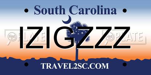 IZIGZZZ South Carolina License Plate