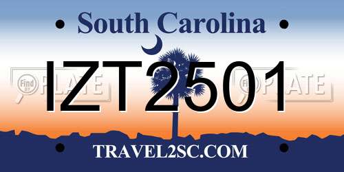 IZT2501 South Carolina License Plate