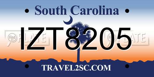 IZT8205 South Carolina License Plate