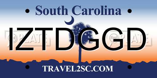 IZTDGGD South Carolina License Plate