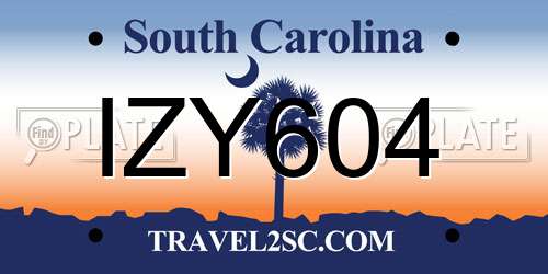 IZY604 South Carolina License Plate