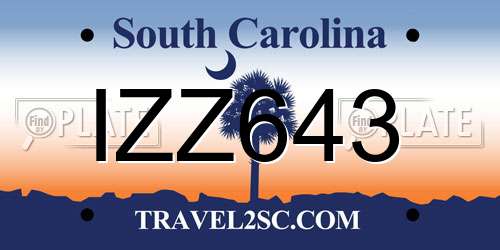 IZZ643 South Carolina License Plate