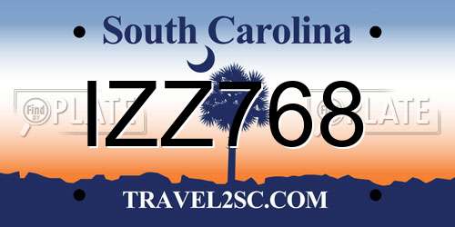 IZZ768 South Carolina License Plate