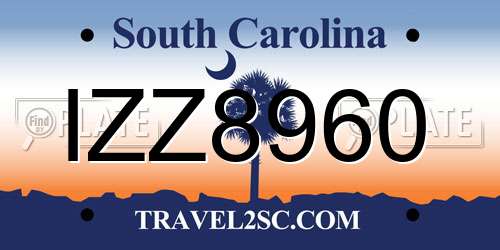IZZ8960 South Carolina License Plate