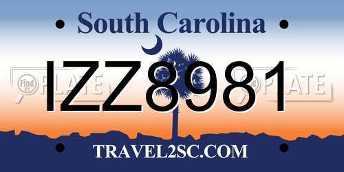 IZZ8981 South Carolina License Plate