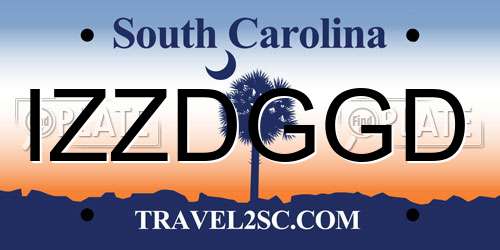 IZZDGGD South Carolina License Plate