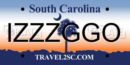 IZZZGGO South Carolina License Plate