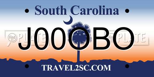 J00OBO South Carolina License Plate